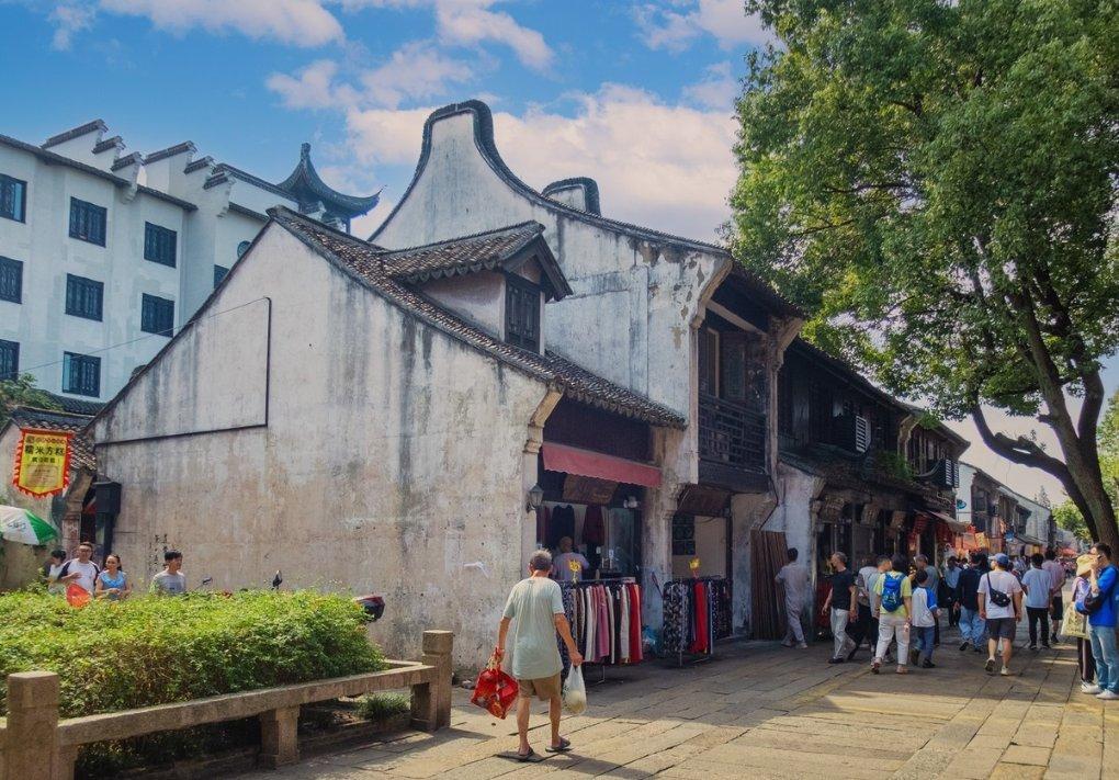 拯救精灵的土地9